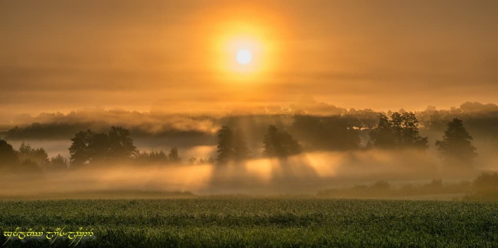 Du feu dans la nappe