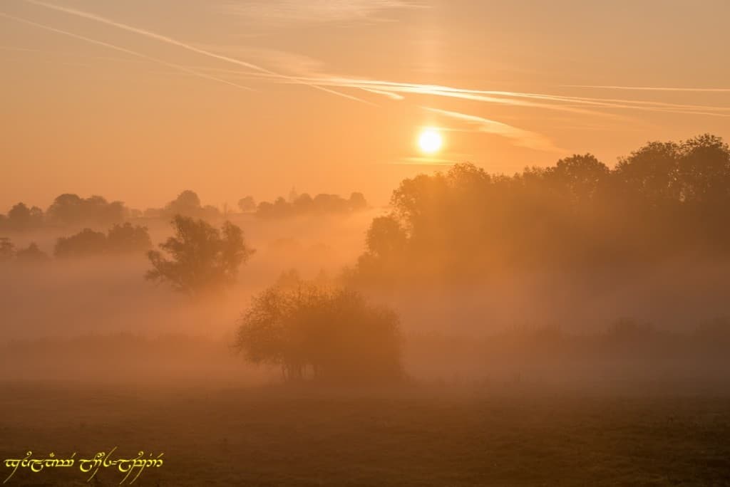 L'automne, c'est l'automne ! (3)
