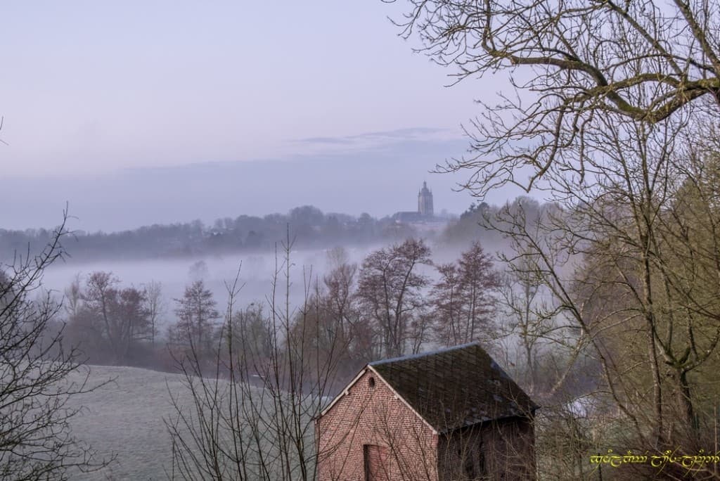 Nappe de brume et collégiale