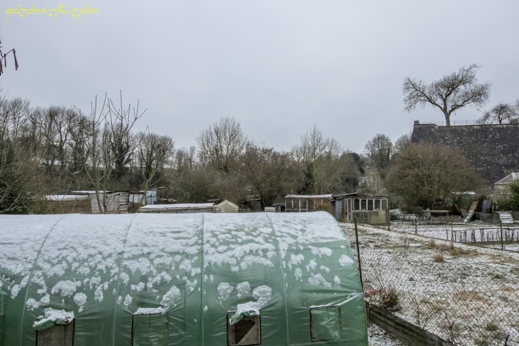 Neige sur les jardins