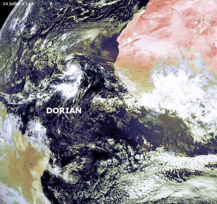 Image d'illustration pour Tempête tropicale Dorian (Atlantique)